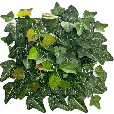 KARAT Plantenwand voor wandmontage, 33 x 33 cm, decoratieve kunstplanten met klimop, voor muur, balkon en tuin (Ivy) KARAT Plantenwand voor wandmontage, 33 x 33 cm, decoratieve kunstplanten met klimop, voor muur, balkon en tuin (Ivy)