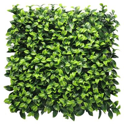 KARAT Plantenwand, kunstplant, wandplanten, 50 x 50 cm, wandtuin, kunstplant, decoratieve kunstplanten voor muur, balkon en tuin (Gardenia) KARAT Plantenwand, kunstplant, wandplanten, 50 x 50 cm, wandtuin, kunstplant, decoratieve kunstplanten voor muur, balkon en tuin (Gardenia)