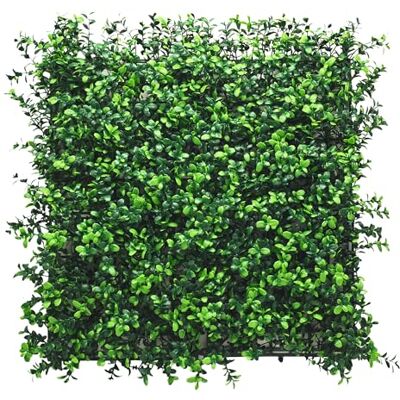 KARAT Kunstmatige wandplanten, wandplanten, 50 x 50 cm, wandtuin, kunstplanten, wandplanten, kunstplanten, decoratie voor muur, balkon, tuin (buxusboom) KARAT Kunstmatige wandplanten, wandplanten, 50 x 50 cm, wandtuin, kunstplanten, wandplanten, kunstplanten, decoratie voor muur, balkon, tuin (buxusboom)