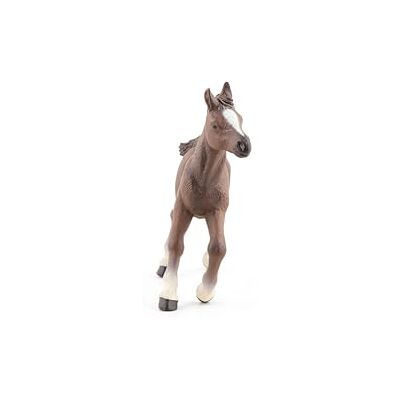 Papo 51076 Figuur Paard Veulen Anglo Arabisch Papo 51076 Figuur Paard Veulen Anglo Arabisch
