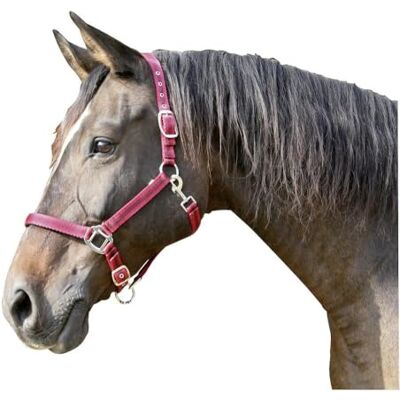 Covalliero Kerbl Mustang halster rood/zwart maat 1 Covalliero Kerbl Mustang halster rood/zwart maat 1