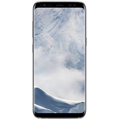 Samsung Galaxy S8+ G955 64 GB smartphone (grijs) Samsung Galaxy S8+ G955 64 GB smartphone (grijs)