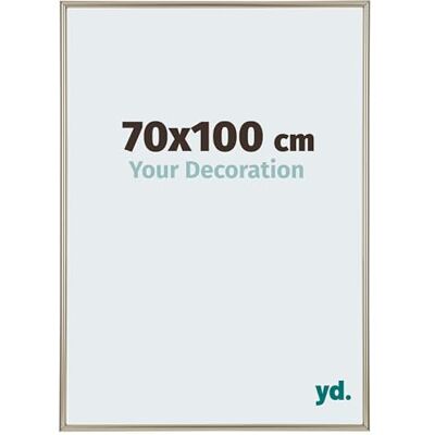 yd. Your Decoration Fotolijst 70 x 100 cm, champagne, fotokader van kunststof met acrylglas, anti-reflecterend kader 70 x 100 cm, Annecy yd. Your Decoration Fotolijst 70 x 100 cm, champagne, fotokader van kunststof met acrylglas, anti-reflecterend kader 70 x 100 cm, Annecy