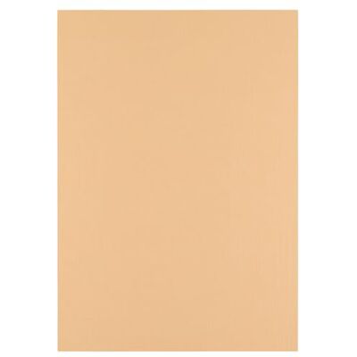 Creative Florence Beige linnen karton 250 g A4 scrapbooking papier parchment gekleurd karton elegante uitnodigingen, geschenkdozen en kunstprojecten Creative Florence Beige linnen karton 250 g A4 scrapbooking papier parchment gekleurd karton elegante uitnodigingen, geschenkdozen en kunstprojecten