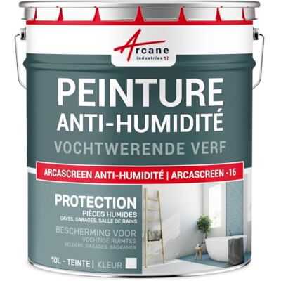 ARCANE INDUSTRIES Arcascreen-10 L Vochtwerende verf voor natte muren, gips, beton, gipsplaat, kelder en kelder, badkamer, badkamer, sdb, anti-schimmel, salpeter, isolatie: Arcascreen-10 L (tot 40 m²)- ARCANE INDUSTRIES Arcascreen-10 L Vochtwerende verf voor natte muren, gips, beton, gipsplaat, kelder en kelder, badkamer, badkamer, sdb, anti-schimmel, salpeter, isolatie: Arcascreen-10 L (tot 40 m²)-