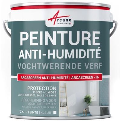 ARCANE INDUSTRIES : anti vochtverf pleisterwerk voor beton, gipsplaat, kelder, badkamer, anti schimmel, salpeter, isolerend ARCASCREEN, 2,5 l (tot 10 m²) ARCANE INDUSTRIES : anti vochtverf pleisterwerk voor beton, gipsplaat, kelder, badkamer, anti schimmel, salpeter, isolerend ARCASCREEN, 2,5 l (tot 10 m²)