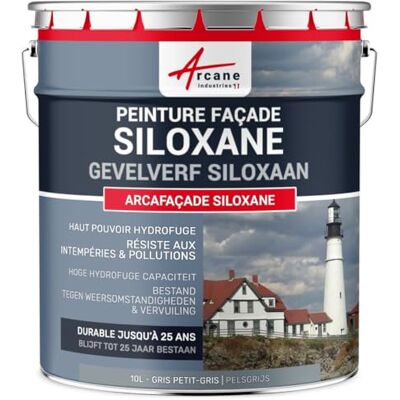 ARCANE INDUSTRIES Arcafacade Siloxane Verf, waterafstotend, houdt tot 20 jaar, renovatie van gevels, gepleisterde muur, 10 l (ca. 60 m² in 1 laag), grijs/blauw, RAL 7000 ARCANE INDUSTRIES Arcafacade Siloxane Verf, waterafstotend, houdt tot 20 jaar, renovatie van gevels, gepleisterde muur, 10 l (ca. 60 m² in 1 laag), grijs/blauw, RAL 7000