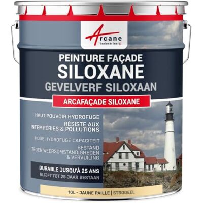 ARCANE INDUSTRIES Arcafacade Siloxane verf, waterafstotend, houdt tot 20 jaar, renovatie van gevels, gepleisterde muur, 10 l (ca. 60 m² in 1 laag), strogeel RAL 085 90 30 ARCANE INDUSTRIES Arcafacade Siloxane verf, waterafstotend, houdt tot 20 jaar, renovatie van gevels, gepleisterde muur, 10 l (ca. 60 m² in 1 laag), strogeel RAL 085 90 30