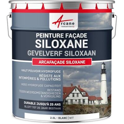 ARCANE INDUSTRIES Arcafacade Siloxane verf, waterafstotend, houdt tot 20 jaar, renovatie van gevels, gepleisterde muur, 2,5 l (ca. 15 m² in 1 laag), wit RAL 9003 ARCANE INDUSTRIES Arcafacade Siloxane verf, waterafstotend, houdt tot 20 jaar, renovatie van gevels, gepleisterde muur, 2,5 l (ca. 15 m² in 1 laag), wit RAL 9003