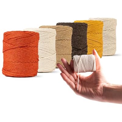 Ledent Macramé touw (1 mm, 6 x 65 m, set van 6 kleuren) – dubbel gedraaid macramétouw van 100% gerecycled katoen – set met 6 kleine rollen in pastelkleuren Ledent Macramé touw (1 mm, 6 x 65 m, set van 6 kleuren) – dubbel gedraaid macramétouw van 100% gerecycled katoen – set met 6 kleine rollen in pastelkleuren
