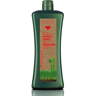 SALERM biokera Natura Shampoo voor vallend haar, 1000 ml SALERM biokera Natura Shampoo voor vallend haar, 1000 ml
