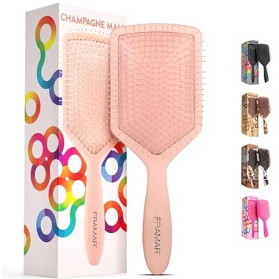 FRAMAR Ontwarrende borstel, elegante haarborstel, geen klitten, haarborstels voor vrouwen, mannen en kinderen (champagne) FRAMAR Ontwarrende borstel, elegante haarborstel, geen klitten, haarborstels voor vrouwen, mannen en kinderen (champagne)