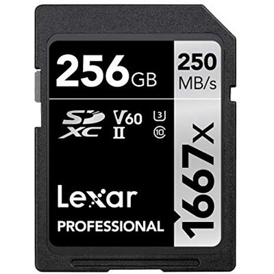 Lexar Professional 1667 x 256GB SD-kaart, SDXC UHS-II geheugenkaart, tot 250MB/s lezen, voor professionele fotograaf, videograaf, liefhebber (LSD256CB1667) Lexar Professional 1667 x 256GB SD-kaart, SDXC UHS-II geheugenkaart, tot 250MB/s lezen, voor professionele fotograaf, videograaf, liefhebber (LSD256CB1667)