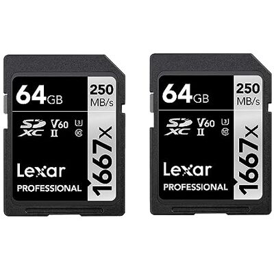 Lexar Professional 1667 x SD-kaart 64 GB, set van 2 kaarten, SDXC UHS-II geheugenkaart, tot 250 MB/s lezen, klasse 10, U3, V60, SD voor professionele fotograaf, videograaf (LSD1667064G-B2NAA) Lexar Professional 1667 x SD-kaart 64 GB, set van 2 kaarten, SDXC UHS-II geheugenkaart, tot 250 MB/s lezen, klasse 10, U3, V60, SD voor professionele fotograaf, videograaf (LSD1667064G-B2NAA)