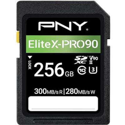 PNY SD-geheugenkaart 256 GB X-Pro 90 klasse 10 U3 V90 UHS-II PNY SD-geheugenkaart 256 GB X-Pro 90 klasse 10 U3 V90 UHS-II