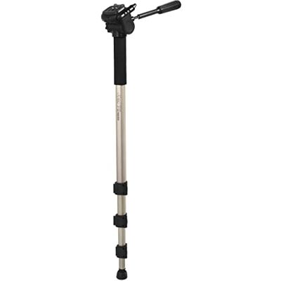 Hama Monopod "Star 78 Mono" (licht unidirectioneel met driewegkop, 61-176 cm, 3D) champagne Hama Monopod "Star 78 Mono" (licht unidirectioneel met driewegkop, 61-176 cm, 3D) champagne