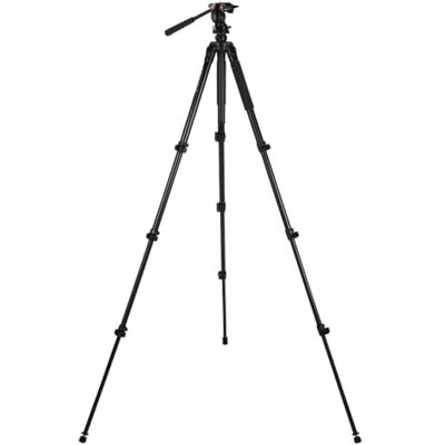 Celestron Regal 82052 hoogwaardig statief voor telescopen, verrekijkers, camera's en kleine telescopen, zwart Celestron Regal 82052 hoogwaardig statief voor telescopen, verrekijkers, camera's en kleine telescopen, zwart