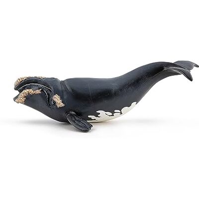 Papo Verzamelfiguren Openhartige walvis 56057 zeedieren voor kinderen meisjes en jongens vanaf 3 jaar Papo Verzamelfiguren Openhartige walvis 56057 zeedieren voor kinderen meisjes en jongens vanaf 3 jaar