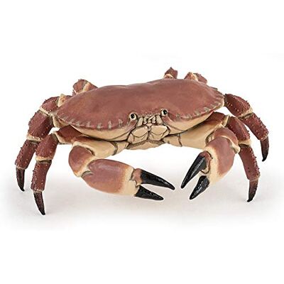 Papo – figuren om te verzamelen – krab – krabje – zeedieren – maritieme wereld – voor meisjes en jongens – vanaf 3 jaar Papo – figuren om te verzamelen – krab – krabje – zeedieren – maritieme wereld – voor meisjes en jongens – vanaf 3 jaar