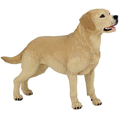Papo Dierenfiguur – Labrador, trouwe metgezel, speelgoed voor kinderen vanaf 3 jaar – liefde en loyaliteit door de beste vriend van de mens voor kleine dierenliefhebbers Papo Dierenfiguur – Labrador, trouwe metgezel, speelgoed voor kinderen vanaf 3 jaar – liefde en loyaliteit door de beste vriend van de mens voor kleine dierenliefhebbers