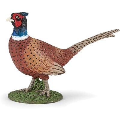 Papo Dierenfiguur Fazan, schoonheid van het wilde leven, veelkleurig figuur voor kinderen vanaf 3 jaar Vogelobservatie en natuurbewustzijn Papo Dierenfiguur Fazan, schoonheid van het wilde leven, veelkleurig figuur voor kinderen vanaf 3 jaar Vogelobservatie en natuurbewustzijn