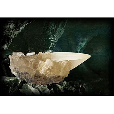 The Noble Collection Noble Collection Het kristalglas van de Grotta The Noble Collection Noble Collection Het kristalglas van de Grotta
