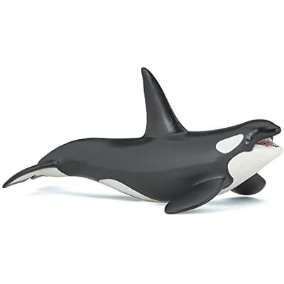 Papo Verzamelfiguren Orka Zeedieren Zeewereld Voor meisjes en jongens Vanaf 3 jaar Papo Verzamelfiguren Orka Zeedieren Zeewereld Voor meisjes en jongens Vanaf 3 jaar