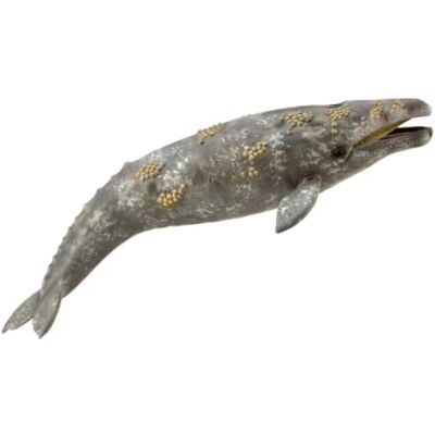 Collecta Grijze walvis Collecta Grijze walvis