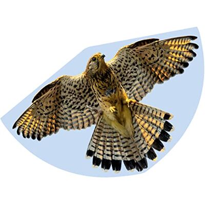 GÜNTHER FLUGSPIELE Paul Günther 1230 kindervlag met vouwmotief van robuust polyethyleen met verstelbaar drakenniveau voor kinderen vanaf 4 jaar, met handvat en koord ca. 92 x 62 cm GÜNTHER FLUGSPIELE Paul Günther 1230 kindervlag met vouwmotief van robuust polyethyleen met verstelbaar drakenniveau voor kinderen vanaf 4 jaar, met handvat en koord ca. 92 x 62 cm