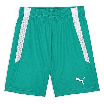 Puma Teamliga Junior Shorts Uniseks Shorts Puma Teamliga Junior Shorts Uniseks Shorts