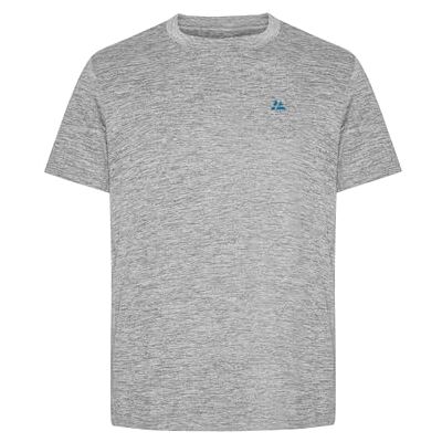 DANISH ENDURANCE Sportshirt voor heren, voor sport, fitness, training en hardlopen, sportschool, korte mouwen, sneldrogend, ultralicht, korte mouwen en ronde hals, in zwart, grijs, blauw, Grijze mix S DANISH ENDURANCE Sportshirt voor heren, voor sport, fitness, training en hardlopen, sportschool, korte mouwen, sneldrogend, ultralicht, korte mouwen en ronde hals, in zwart, grijs, blauw, Grijze mix S