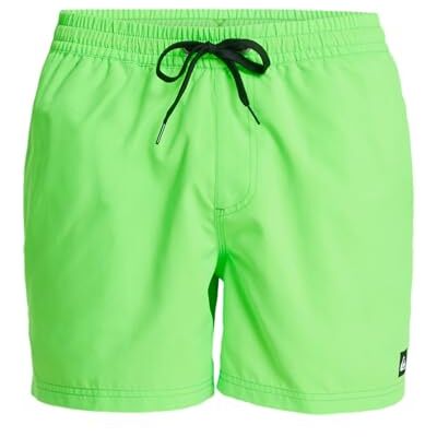 Quiksilver Everyday Solid Volley 15 Jumpsuit voor heren, kort, 1 stuk, Groen (Gecko Green), L L Quiksilver Everyday Solid Volley 15 Jumpsuit voor heren, kort, 1 stuk, Groen (Gecko Green), L L