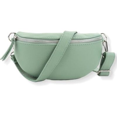 Blade Heuptas van echt leer, elegante schoudertas voor dames, hoogwaardige schoudertas met ritssluiting, handtas, heuptas, Munt, Eén maat Blade Heuptas van echt leer, elegante schoudertas voor dames, hoogwaardige schoudertas met ritssluiting, handtas, heuptas, Munt, Eén maat
