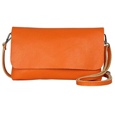 AmbraModa GLX11 Dames crossbodytas, clutch, telefoontas van echt leer met afneembaar en verstelbare schouderriem, passend voor mobiele telefoons en tablets tot 7 inch. (Oranje) 24 x 14 cm AmbraModa GLX11 Dames crossbodytas, clutch, telefoontas van echt leer met afneembaar en verstelbare schouderriem, passend voor mobiele telefoons en tablets tot 7 inch. (Oranje) 24 x 14 cm