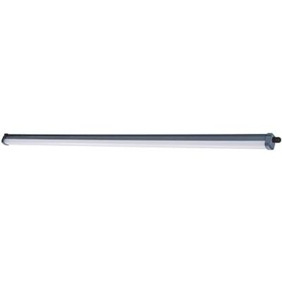 Philips ProjectLine lamp voor vochtige ruimtes, 1500 mm, 5400 lm, 4000 K, grijs IP65 Philips ProjectLine lamp voor vochtige ruimtes, 1500 mm, 5400 lm, 4000 K, grijs IP65