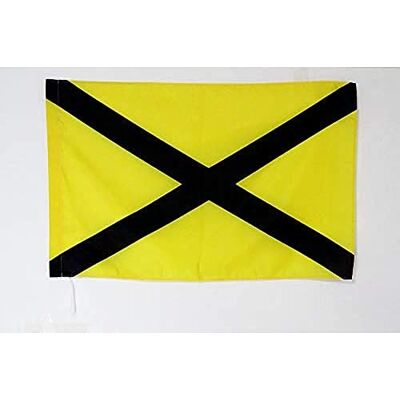 AZ FLAG Vlag geel met zwart kruis, 90 x 60 cm, commissievlag, 60 x 90 cm, schede voor vlaggenstok Usage intérieur et extérieur Drapeau décoratif de commissaire coutures doubles et bords renforcés avec fourreau pour mât AZ FLAG Vlag geel met zwart kruis, 90 x 60 cm, commissievlag, 60 x 90 cm, schede voor vlaggenstok Usage intérieur et extérieur Drapeau décoratif de commissaire coutures doubles et bords renforcés avec fourreau pour mât