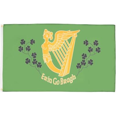 AZ FLAG Ierse vlag Erin Go Bragh 150 x 90 cm Ierse vlag 90 x 150 cm polyester licht AZ FLAG Ierse vlag Erin Go Bragh 150 x 90 cm Ierse vlag 90 x 150 cm polyester licht