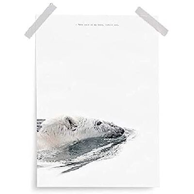 Bonjour Bebe Bonjourbaby poster 40x30 ingelijste foto's unisex Bonjour Bebe Bonjourbaby poster 40x30 ingelijste foto's unisex