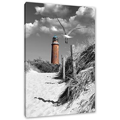 Pixxprint Vuurtoren met zeemeeuw in de buurt van de kust Foto Canvas Snit: 60 x 40 cm Wanddecoraties Kunstdruk Volledig gemonteerd Pixxprint Vuurtoren met zeemeeuw in de buurt van de kust Foto Canvas Snit: 60 x 40 cm Wanddecoraties Kunstdruk Volledig gemonteerd