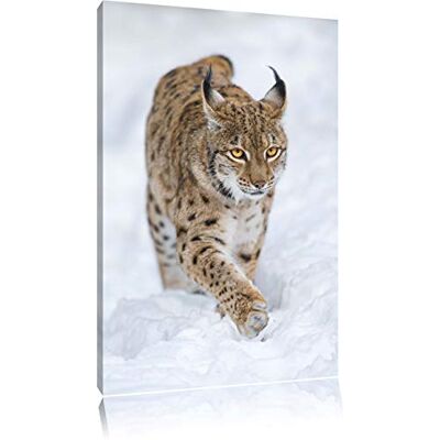 Pixxprint Lynx in de sneeuw Foto Canvas Snit: 80x60cm Wanddecoraties Kunstdruk Volledig gemonteerd Pixxprint Lynx in de sneeuw Foto Canvas Snit: 80x60cm Wanddecoraties Kunstdruk Volledig gemonteerd