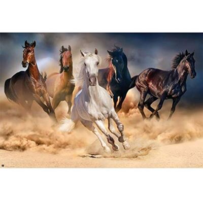 Grupo Erik Rechthoekige poster met 5 paarden Grupo Erik Rechthoekige poster met 5 paarden