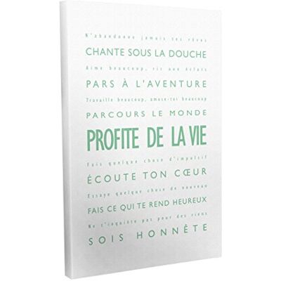 ART Profite de la Vie wandafbeelding op canvas, moderne stijl, 30 x 20 cm, lichtgroen/wit ART Profite de la Vie wandafbeelding op canvas, moderne stijl, 30 x 20 cm, lichtgroen/wit