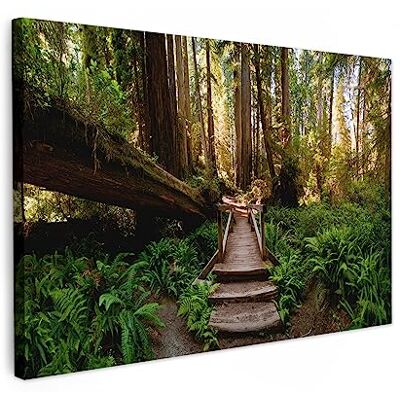MuchoWow © Afdruk op canvas, foto, schilderij, wanddecoratie 90 x 60 cm – slaapkamer, woonkamer, huis, decoratie, keuken, jungle, natuur, trap, bomen MuchoWow © Afdruk op canvas, foto, schilderij, wanddecoratie 90 x 60 cm – slaapkamer, woonkamer, huis, decoratie, keuken, jungle, natuur, trap, bomen