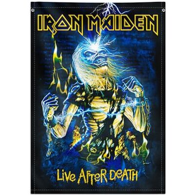 Grupo Erik Iron Maiden poster, canvas stof 70 x 100 cm muziekgroep poster, wanddecoratie, Kamekono Grupo Erik Iron Maiden poster, canvas stof 70 x 100 cm muziekgroep poster, wanddecoratie, Kamekono