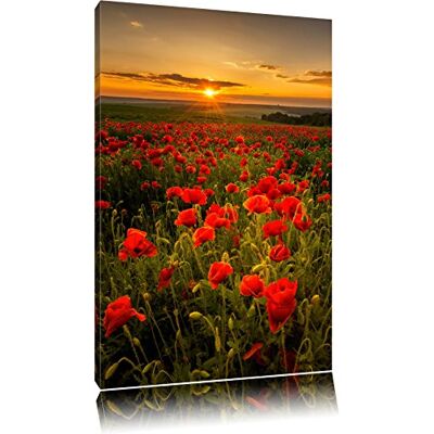 Pixxprint Klaprozen bij zonsondergang foto canvas Afmeting: 80 x 60 cm Wanddecoraties Kunstdruk Volledig gemonteerd Pixxprint Klaprozen bij zonsondergang foto canvas Afmeting: 80 x 60 cm Wanddecoraties Kunstdruk Volledig gemonteerd
