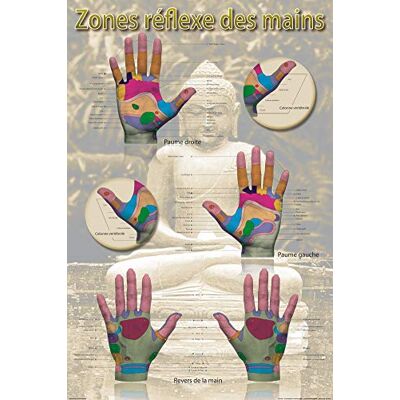1art1 Reflexologie Poster Hand Reflex Zones Muurposter 91 x 61 cm 1art1 Reflexologie Poster Hand Reflex Zones Muurposter 91 x 61 cm