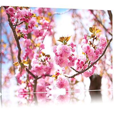 Pixxprint Mooie kersenbloesems, canvas, afmetingen: 100 x 70 cm, wanddecoratie, kunstdruk, compleet gemonteerd Pixxprint Mooie kersenbloesems, canvas, afmetingen: 100 x 70 cm, wanddecoratie, kunstdruk, compleet gemonteerd