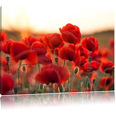 Pixxprint Vurige klaprozen foto canvas Afmeting: 120 x 80 cm Wanddecoraties Kunstdruk Volledig gemonteerd Pixxprint Vurige klaprozen foto canvas Afmeting: 120 x 80 cm Wanddecoraties Kunstdruk Volledig gemonteerd
