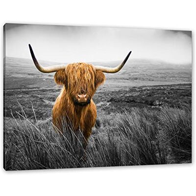 Pixxprint Highland B&W Detail van B&W Os met grote hoorns afmetingen: 60 x 40 cm afbeelding op canvas gespannen muurdecoratie zonder poster Pixxprint Highland B&W Detail van B&W Os met grote hoorns afmetingen: 60 x 40 cm afbeelding op canvas gespannen muurdecoratie zonder poster