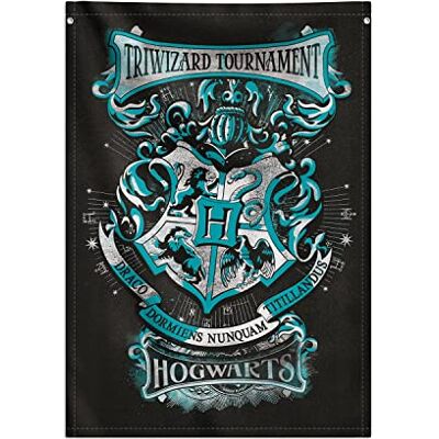 Grupo Erik Harry Potter poster, canvas stof 70 x 100 cm wanddecoratie, Kamekono Grupo Erik Harry Potter poster, canvas stof 70 x 100 cm wanddecoratie, Kamekono
